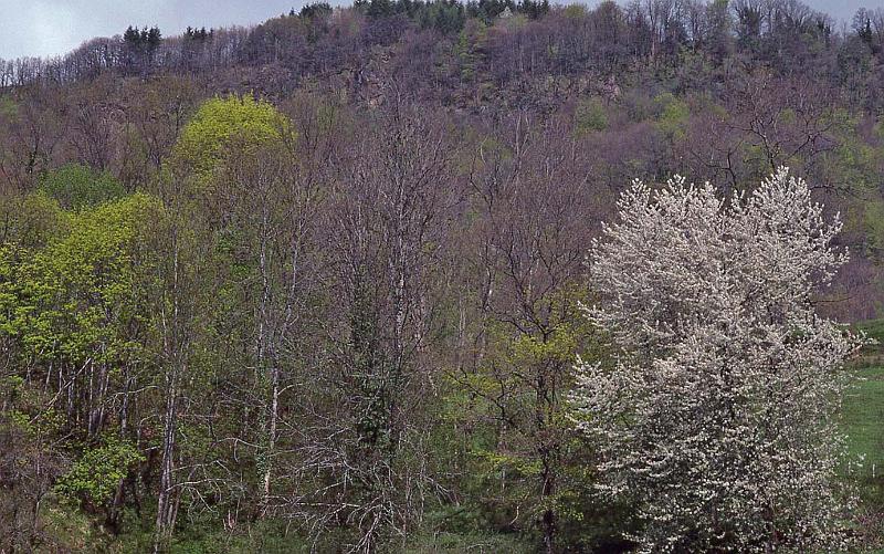 WT 2500 317-29 France 92.jpg